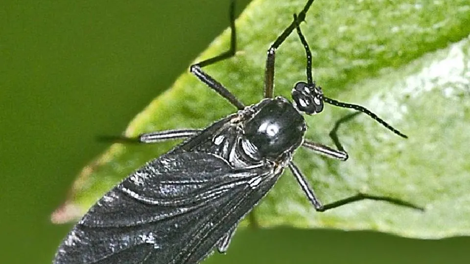 Фото: пресс-служба Министерства экологии и природопользования Московской области