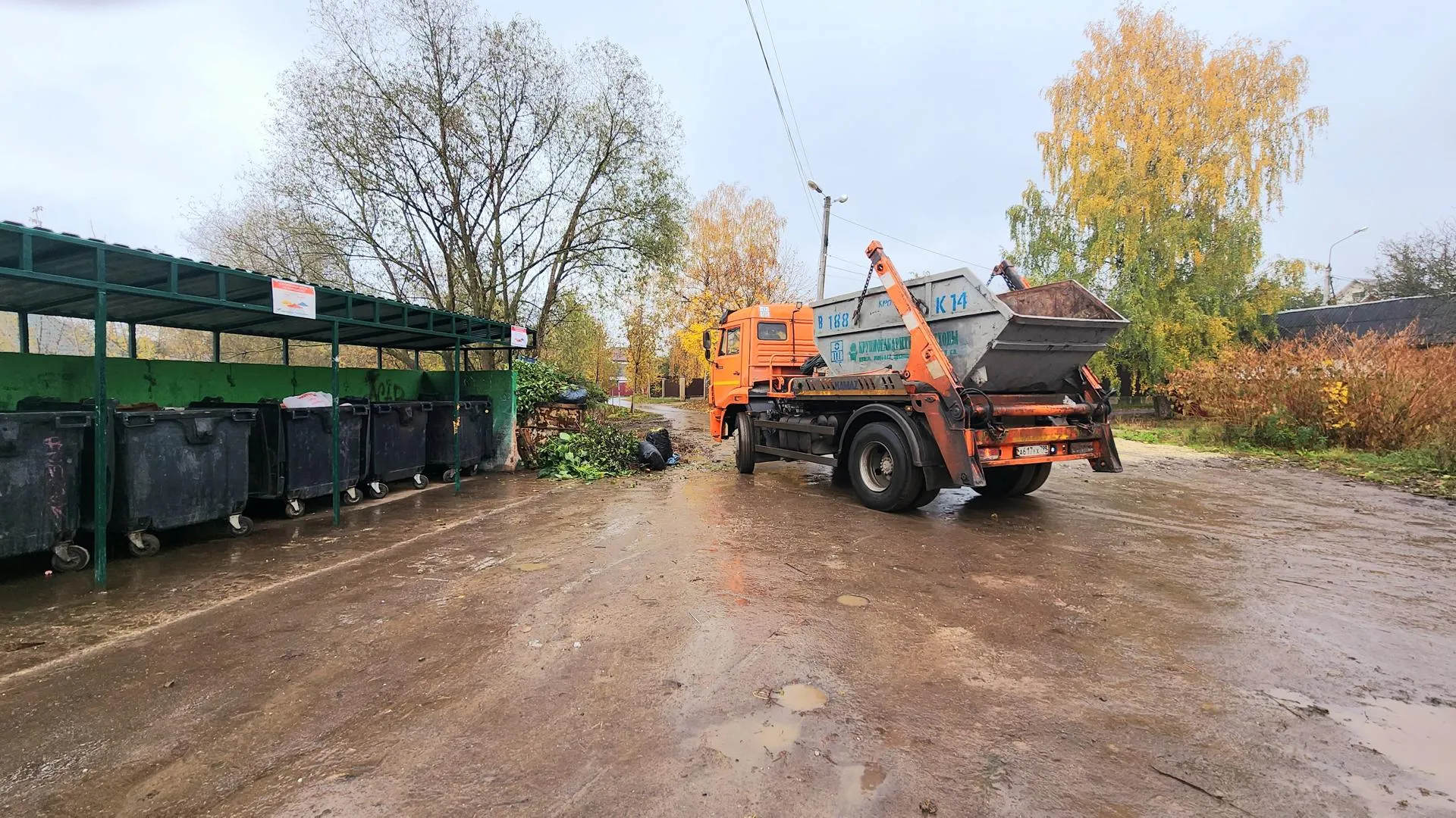 Анастасия Сараева