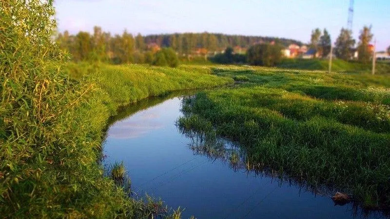 Компания в Солнечногорске организовала свалку в водоохранной зоне реки
