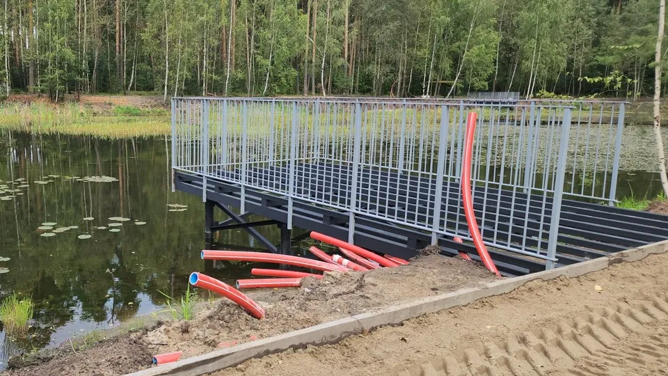 Фото: Ольга Сычева