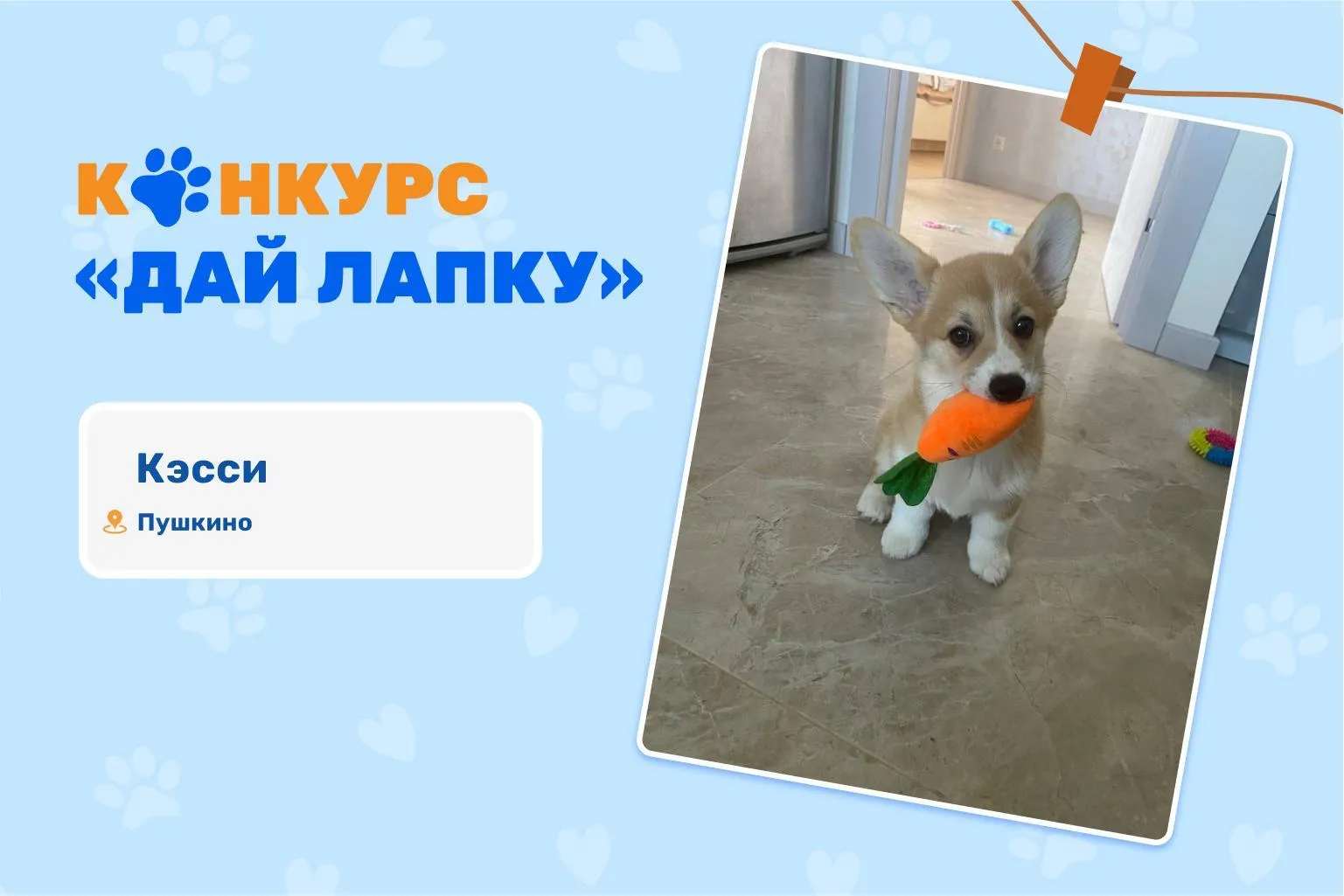 Фото: МосОблЕИРЦ