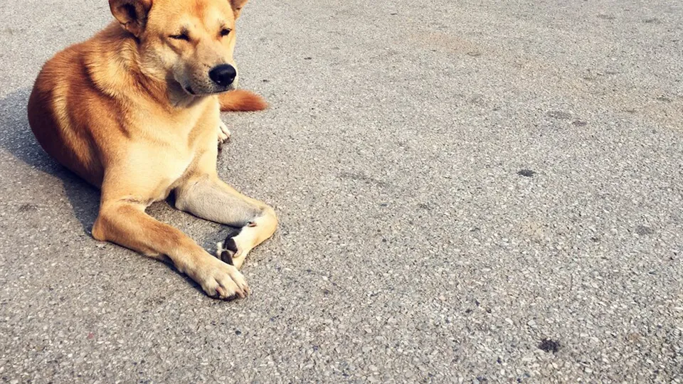 Фото: freepik.com