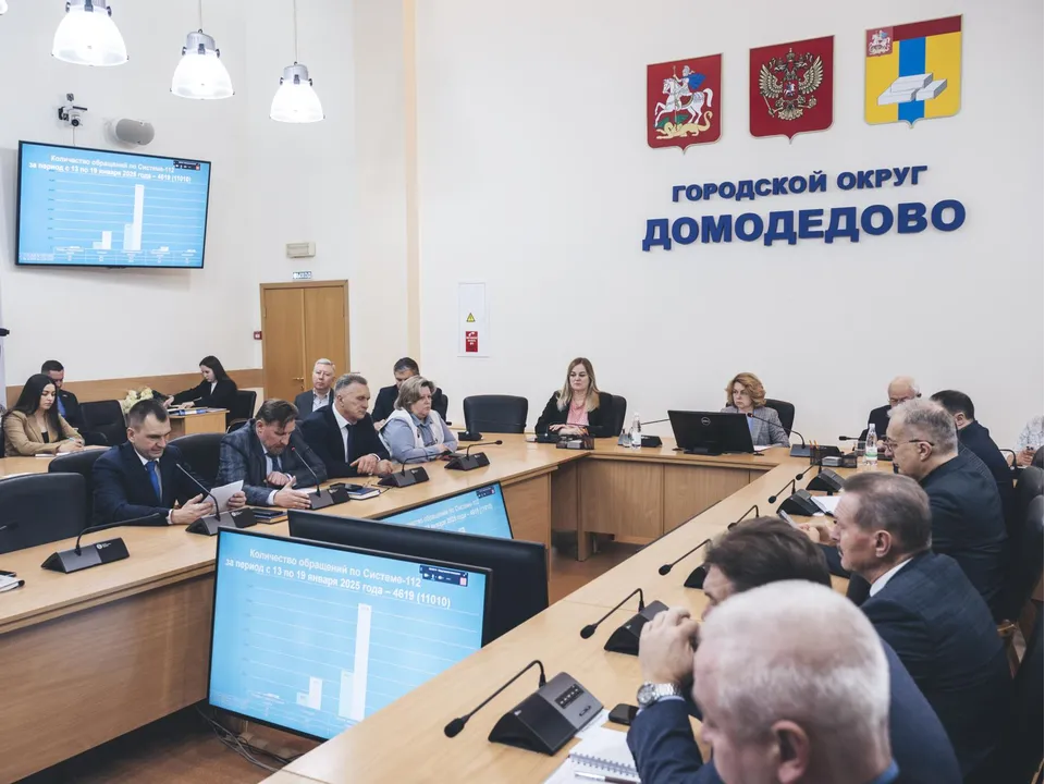 Фото: пресс-служба администрации г.о. Домодедово&nbsp;&nbsp;