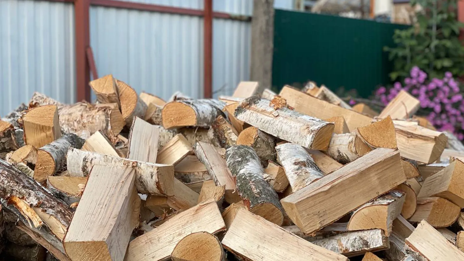 Фото: пресс-служба администрации м.о. Зарайск