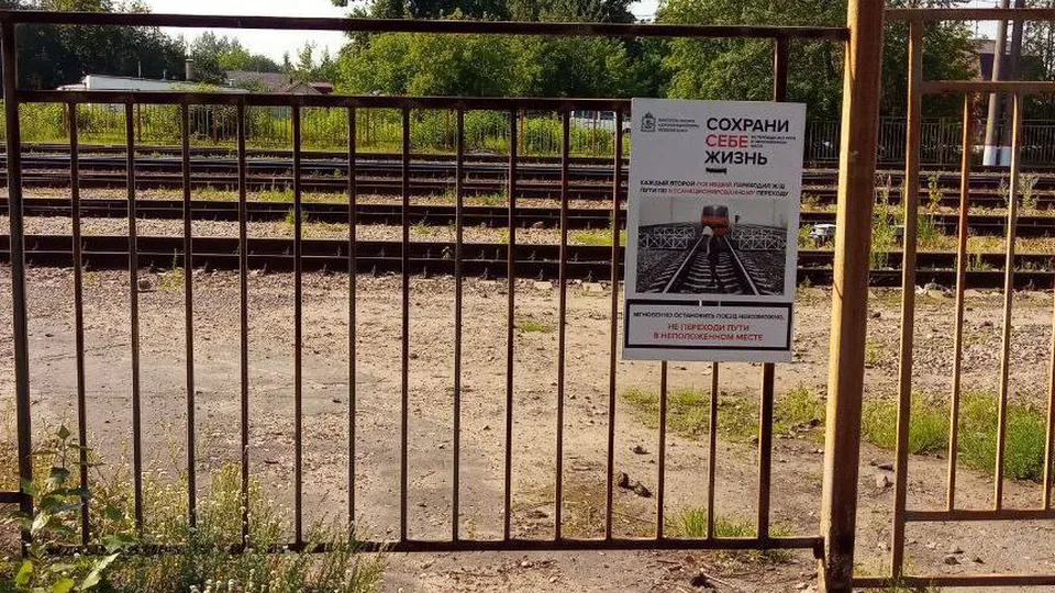 Фото: Министерство транспорта и дорожной инфраструктуры Московской области