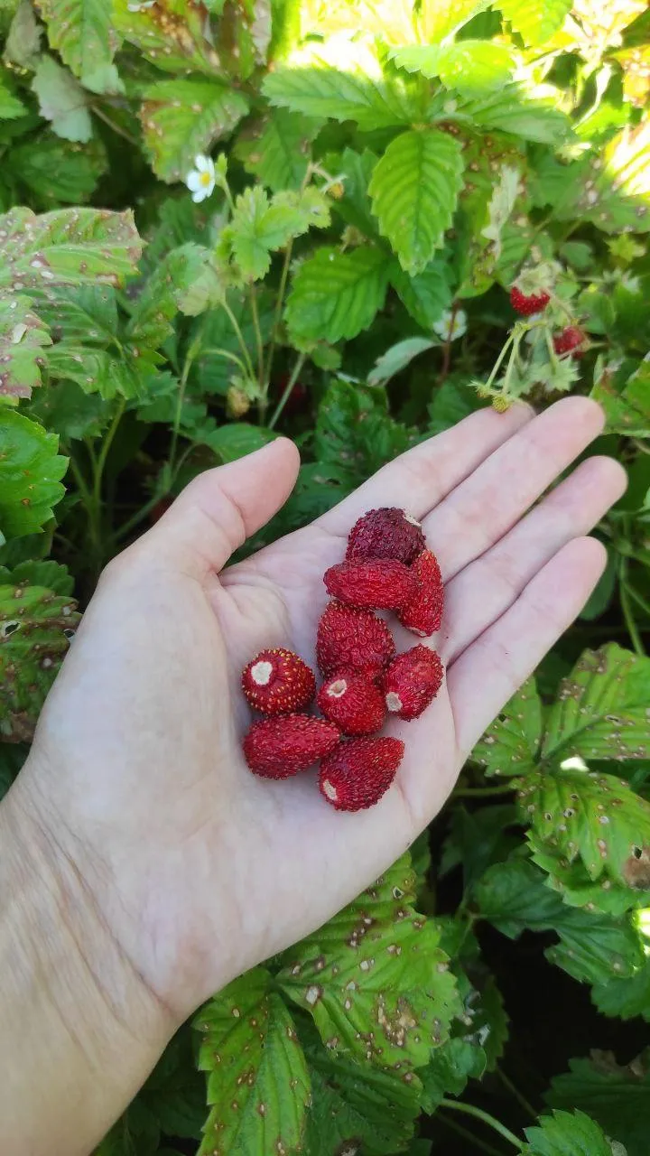 Фото: Елена Синельникова