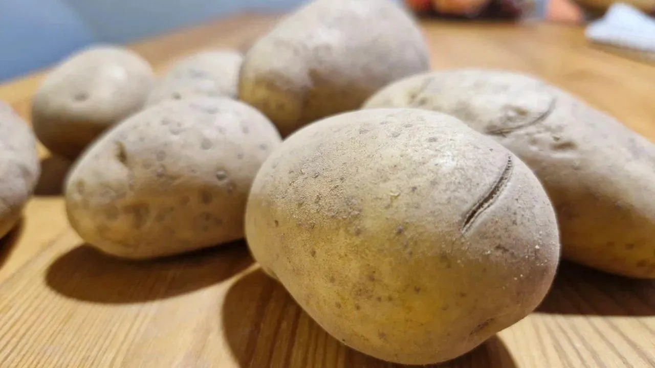 REGIONS/Наталья Надточая