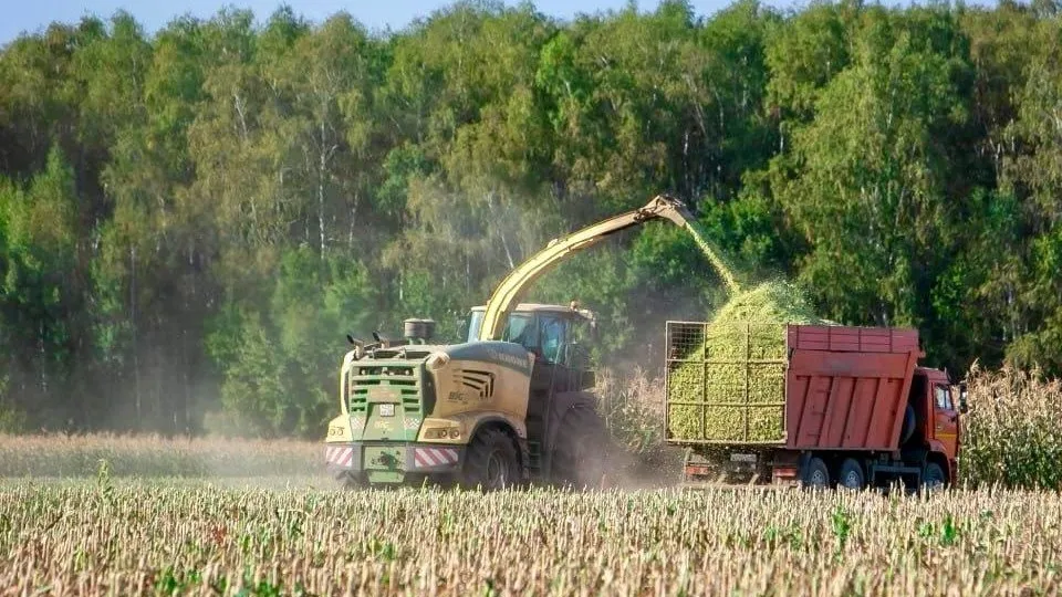 Фото: Министерство сельского хозяйства и продовольствия Московской области