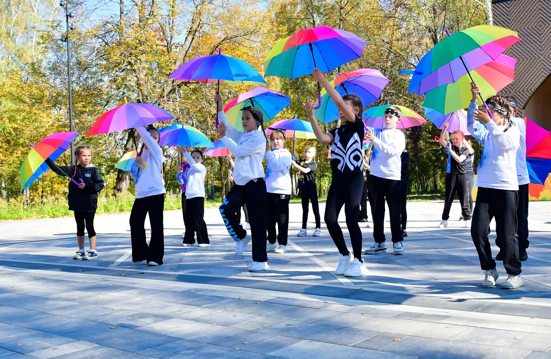 Фото: Наталья Бычкова/Ступинская панорама
