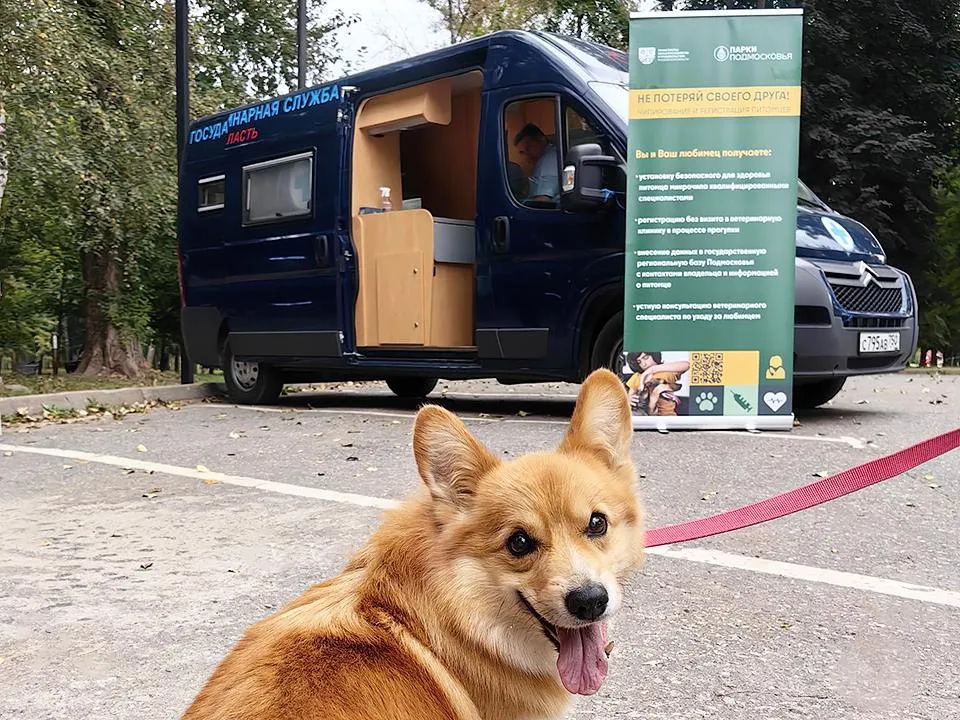 Фото: Министерство сельского хозяйства и продовольствия МО