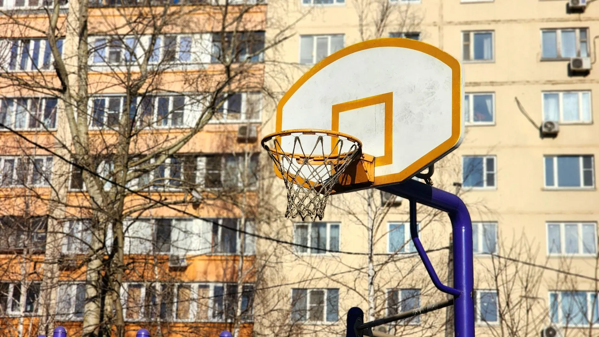 Мария Овчинникова