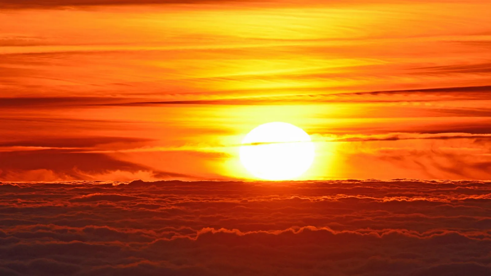 Фото: pxhere.com