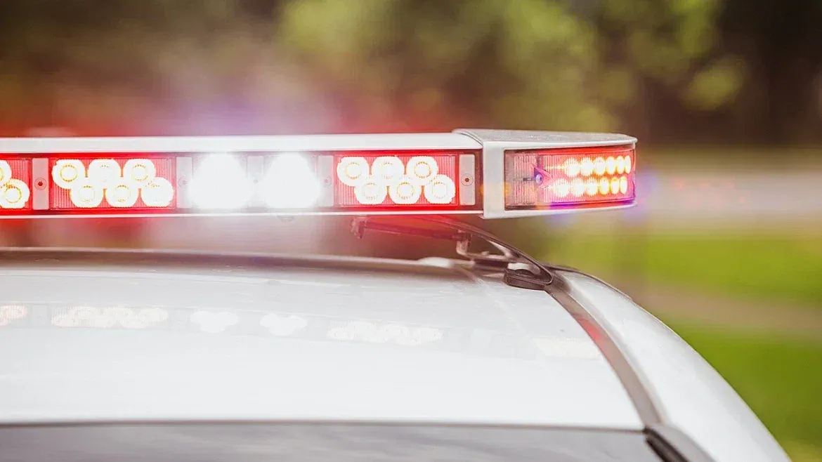 Фото: УМВД России по Одинцовскому округу