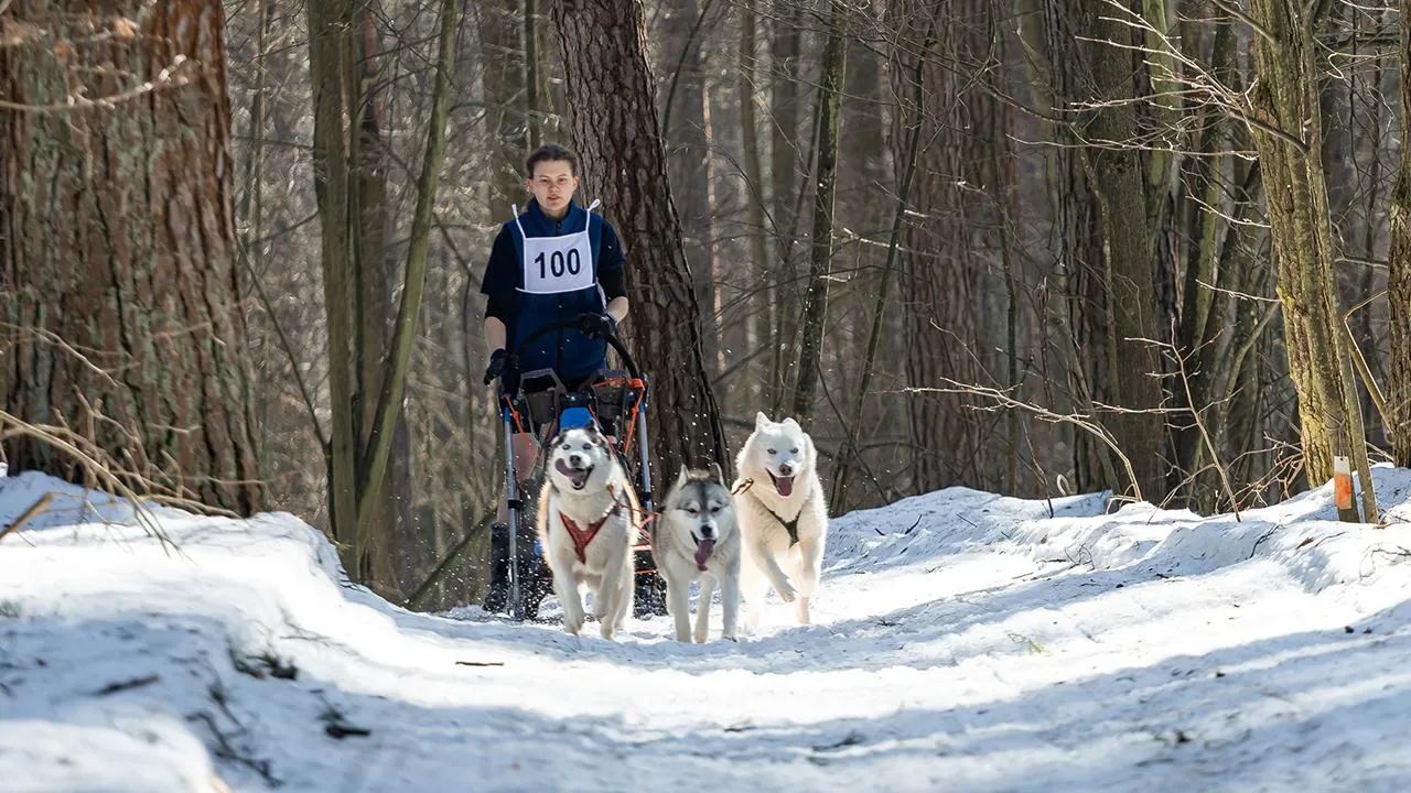 Юлия Козлова
