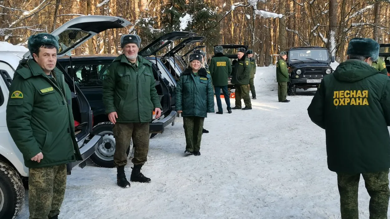 Фото: t.me/podolskoelesnichestvo