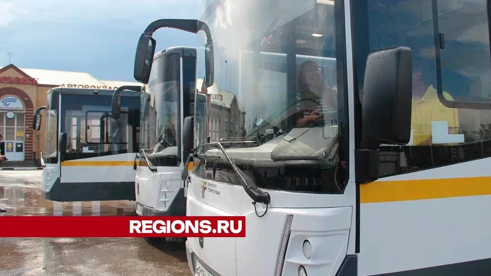 Фото: REGIONS/Василий Тремасов