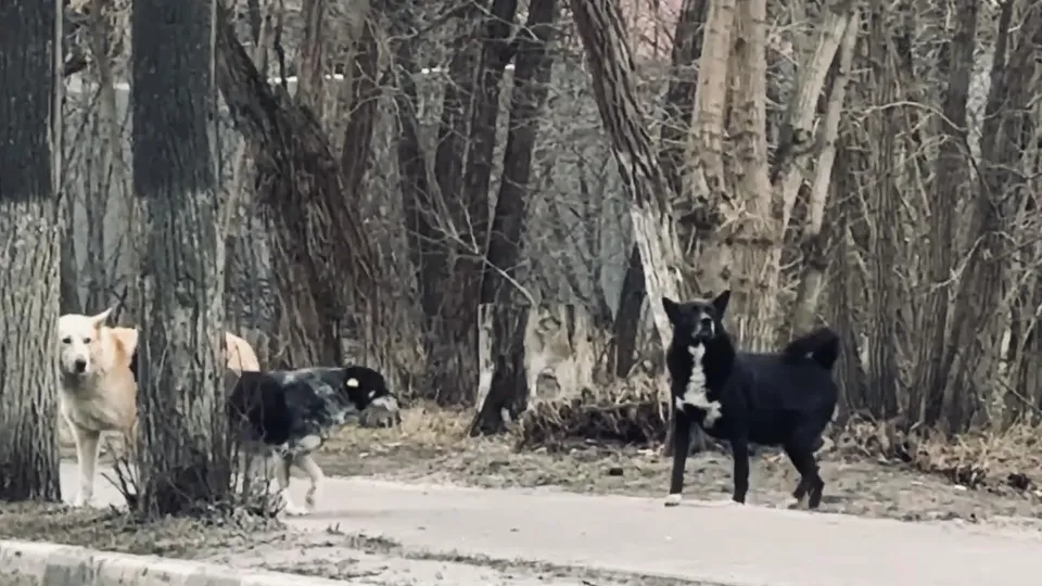 Фото: Ольга Стаферова