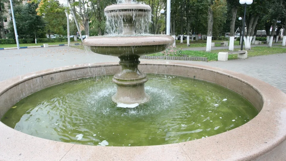 Фото: пресс-служба администрации г.о. Кашира