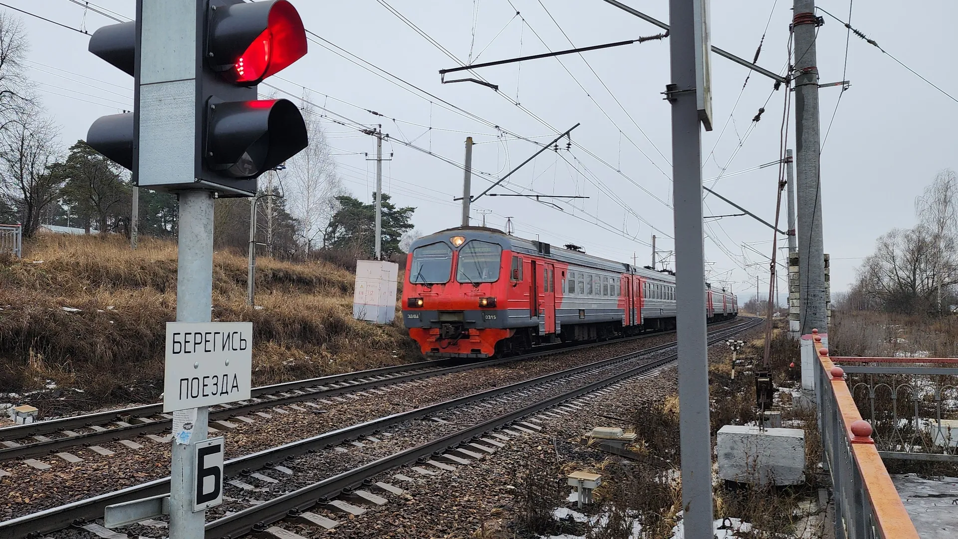 Фото: МедиаБанк Подмосковья/Андрей Семибратов