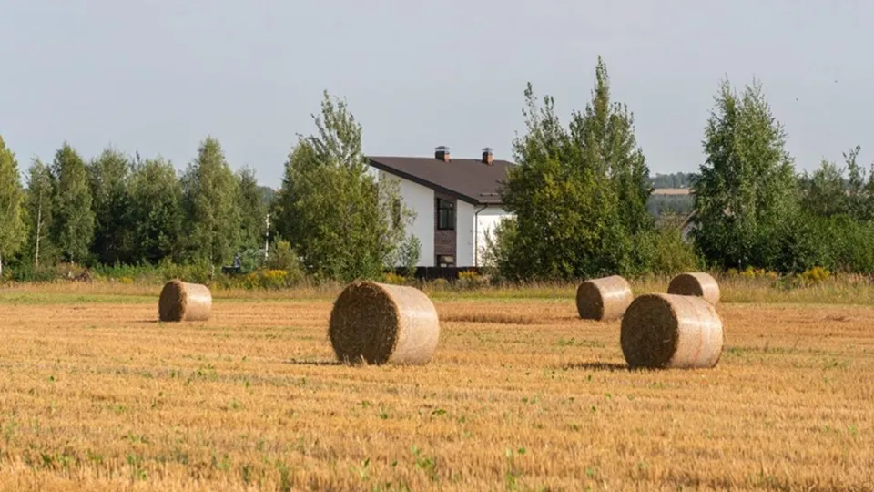 Фото: пресс-служба Министерства сельского хозяйства и продовольствия Московской области