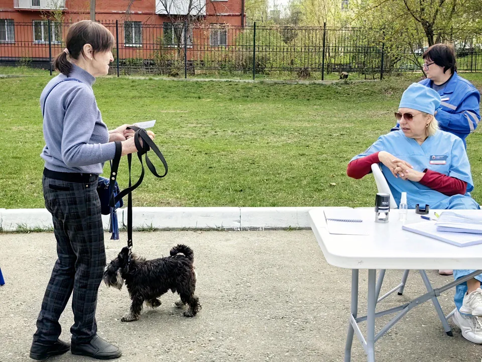 Фото: REGIONS/Елена Катасонова