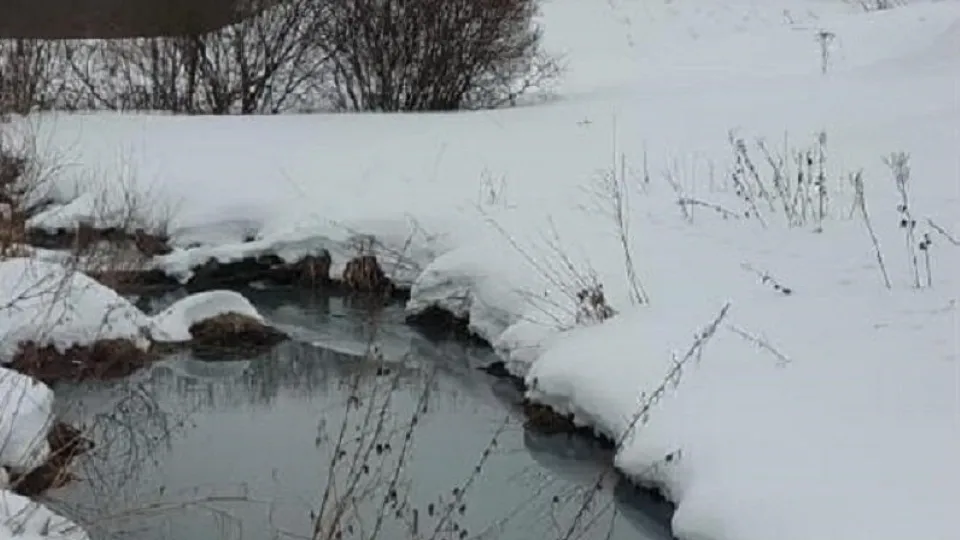 Фото: Министерство экологии и природопользования Московской области