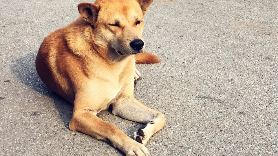 Фото: freepik.com