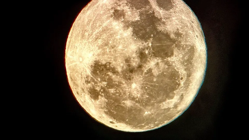 Фото: МедиаБанк Подмосковья/Яна Шаливская