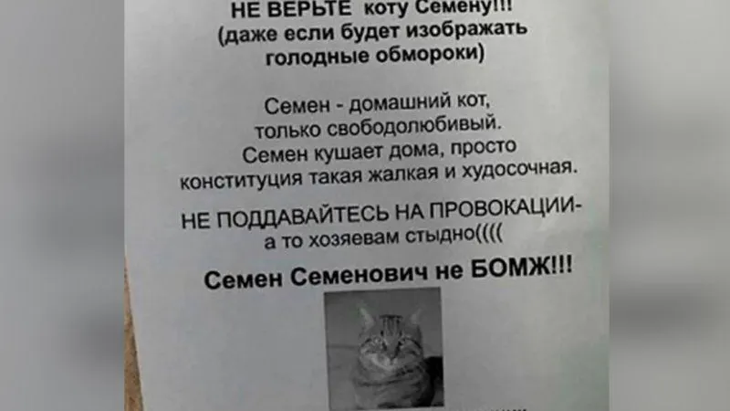 Люберцы Life/vk.com
