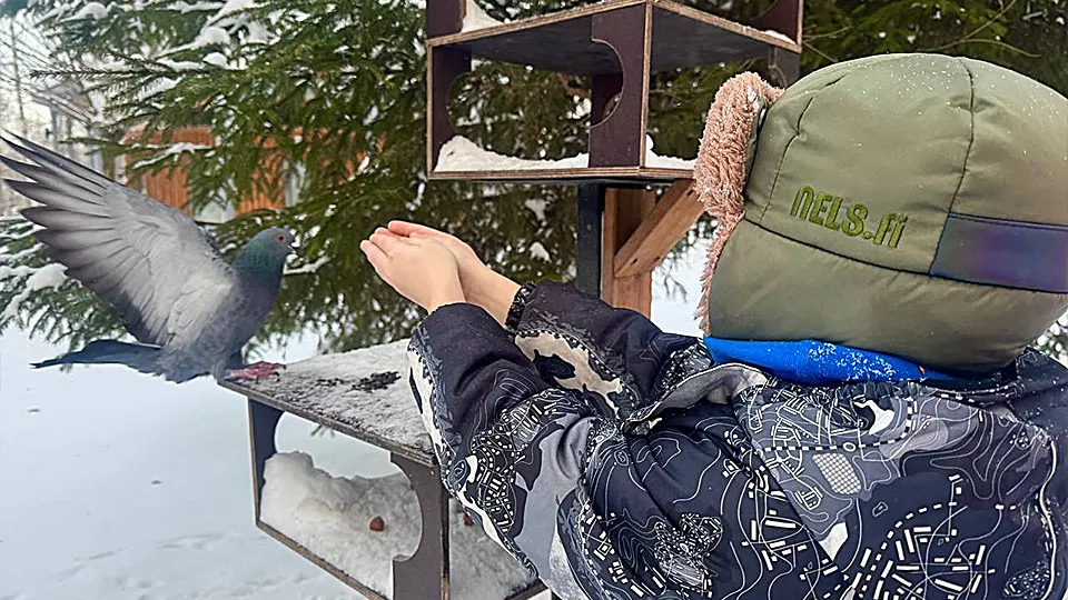 Фото: Парки Ступина