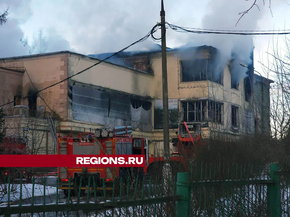 Фото: Валерия Тингаева