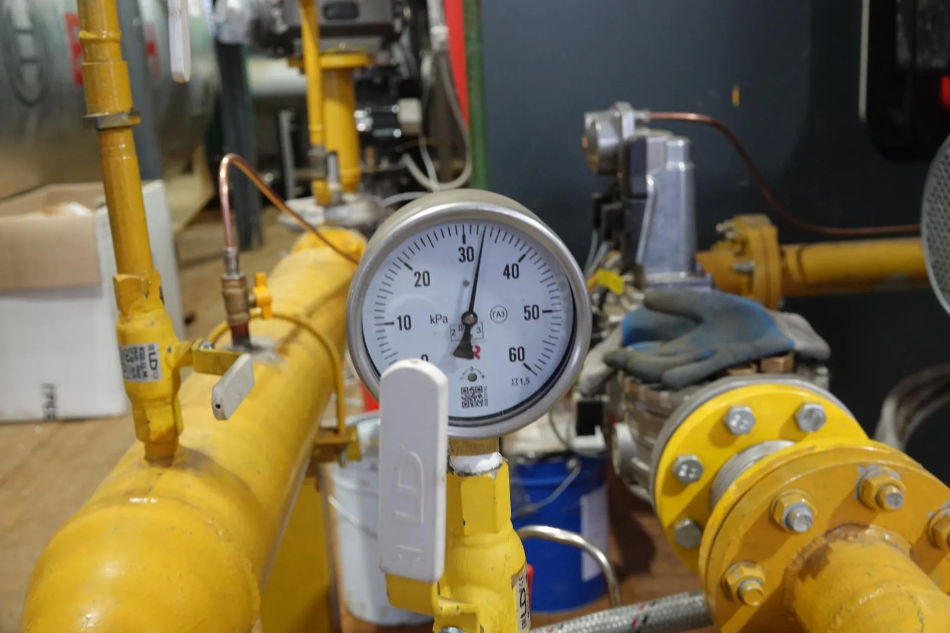 Фото: Дарья Леонова