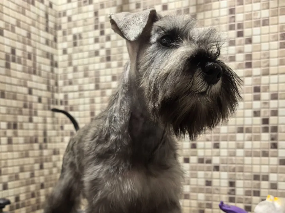 Фото: Татьяна Зеленкова