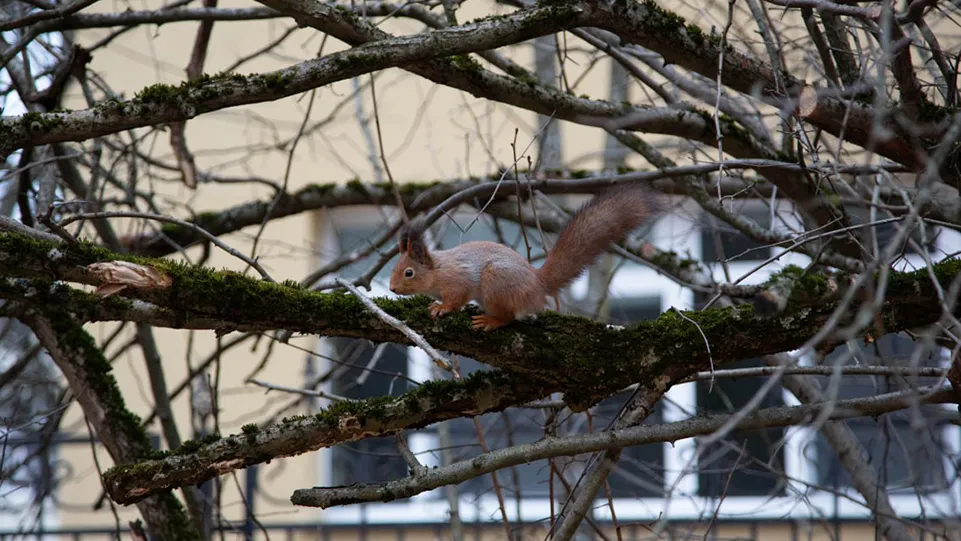Фото: пресс-служба администрации ЗАТО Звездный городок