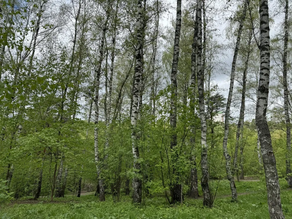 Фото: Полина Абраменко