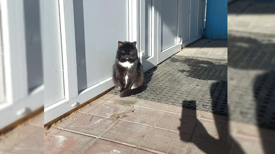 Фото: REGIONS/Василий Тремасов