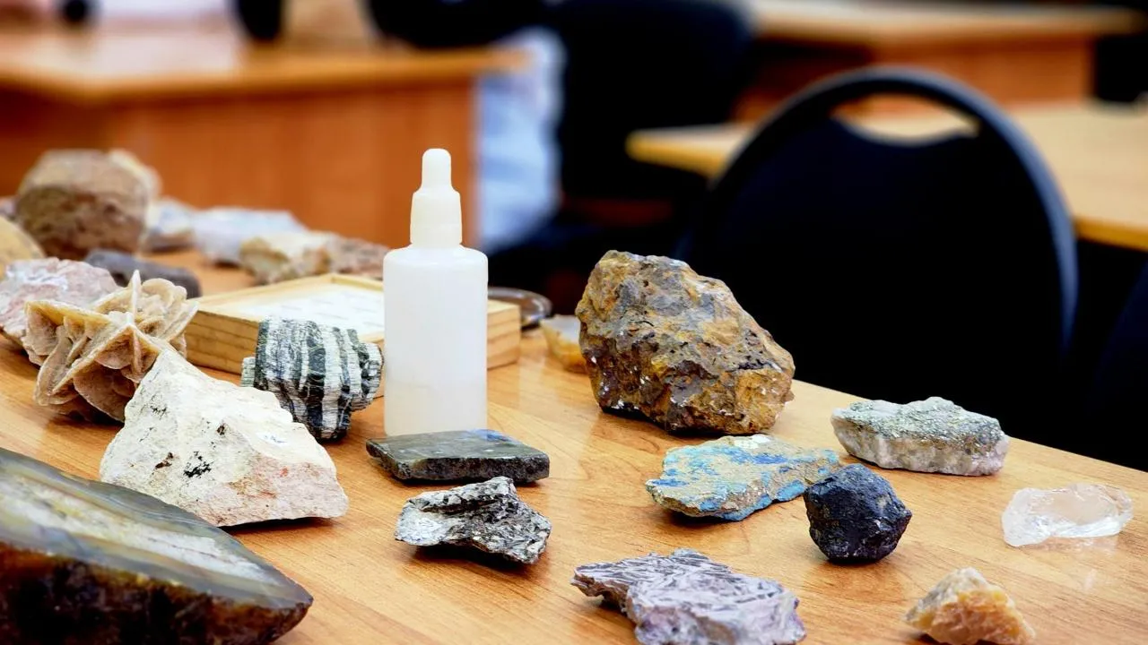 REGIONS/Полина Пахомова