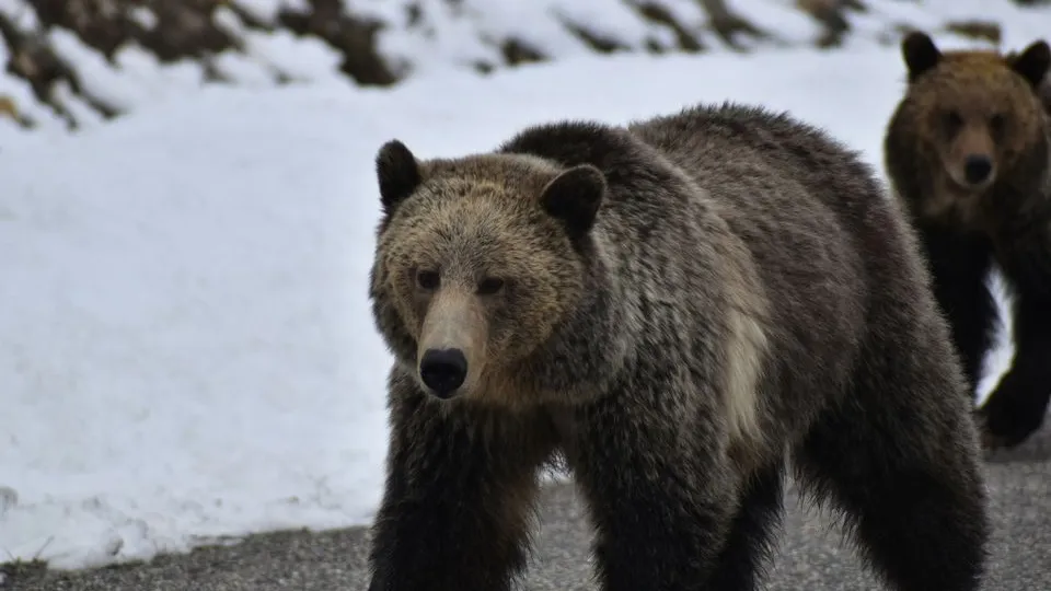 Фото: unsplash.com