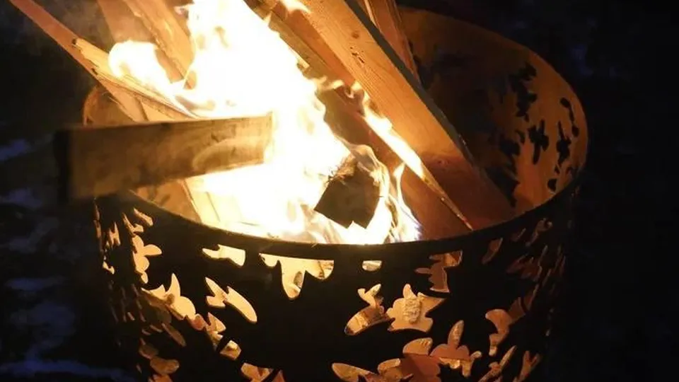 Фото: пресс-служба администрации г.о.Котельники