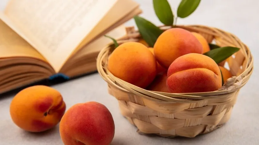 Фото: freepik.com