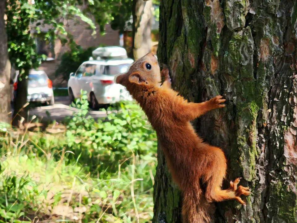 Фото: МедиаБанк Подмосковья/Мария Панина