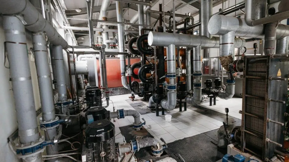 Фото: Telegram/Собакин Official