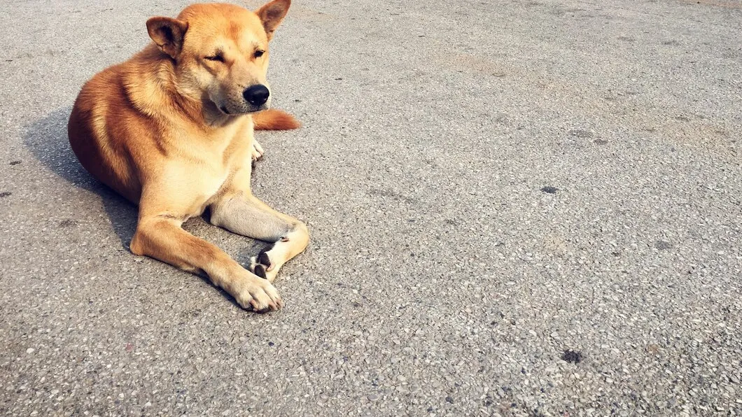 Фото: freepik.com