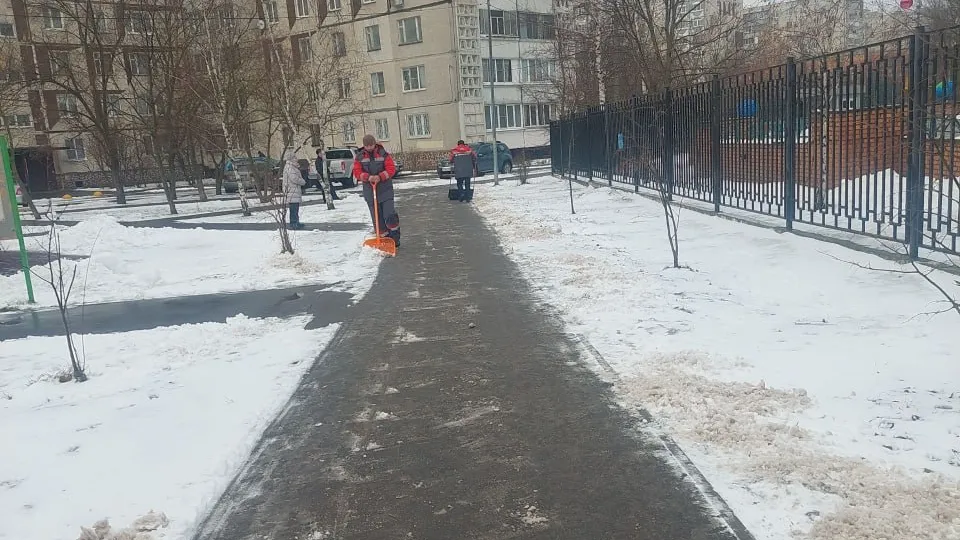 Фото: МЦУР Жуковский