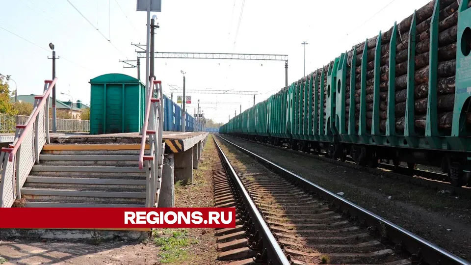 Фото: REGIONS/Василий Тремасов