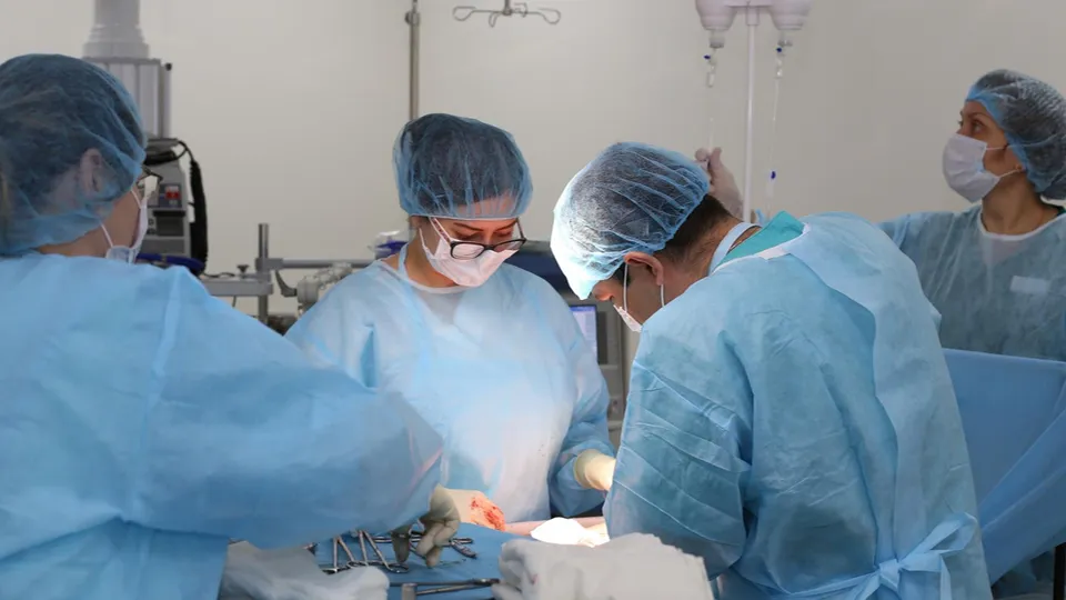 Фото: Пресс-служба Коломенского ПЦ