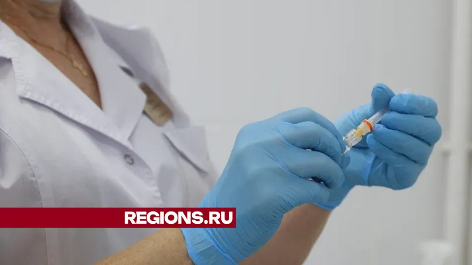 Фото: REGIONS/Василий Тремасов