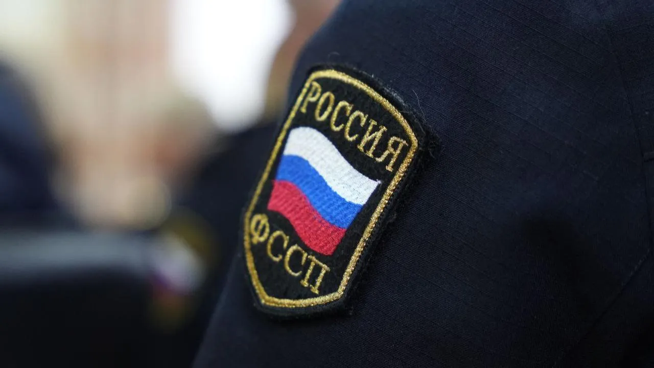 ГУ ФССП России по Московской области