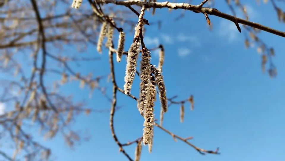 Фото: REGIONS/Алексей Селиверстов