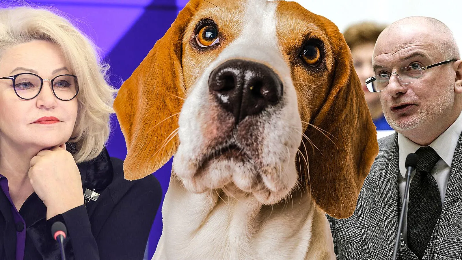 Przemyslaw Iciak, РИА Новости